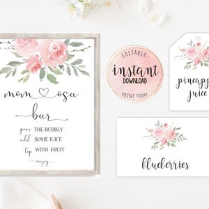 Mom-osa Bar Set, druckbares Rosa Floral Momosa Bar Schild, Saft Anhänger Obst Zelt Karten, Baby Shower Momosa Bar, Editierbarer Sofortiger Download