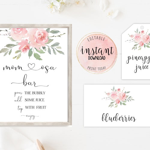 Mom-osa Bar Set Printable Pink Floral Momosa Bar Sign Juice - Etsy