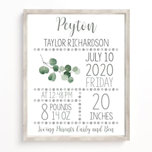 Panneau d'information sur la naissance de bébé nouveau-né, faire-part nouveau-né modifiable eucalyptus, tableau de statistiques bébé, décoration de chambre d'enfant eucalyptus, téléchargement immédiat