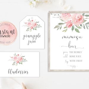 Mimosa Bar Set, cartello mimosa floreale rosa stampabile, juice tags carte tenda frutta, pacchetto bar Mimosa baby shower, download istantaneo modificabile