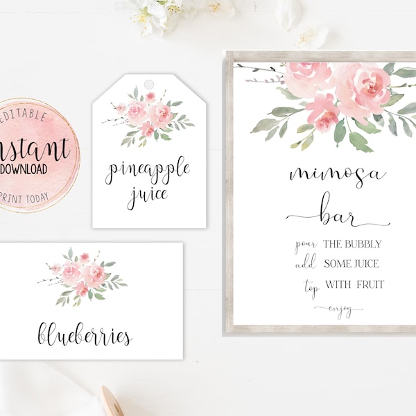 Mimosa Bar Set, Printable Pink Floral Mimosa Bar Sign, Juice Tags Fruit Tent Cards, Baby Shower Mimosa Bar Bundle, Editable Instant Download