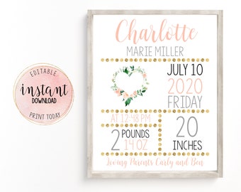 Newborn Birth Information Sign, Newborn Announcement, Editable Newborn Stat Board Heart, Pink & Gold Floral Nursery Decor, Instant Download