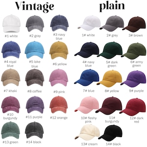 Puede incluir: Un gr&aacute;fico con 14 gorras de b&eacute;isbol de diferentes colores, cada una con un n&uacute;mero y un nombre para el color. Las gorras est&aacute;n dispuestas en dos filas de siete. La fila superior est&aacute; etiquetada como "Vintage" y la fila inferior como "Plain".
