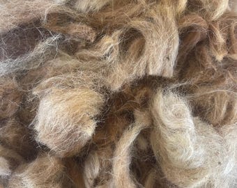 Alpaca Fleece for Nesting Balls, unwashed Fleece