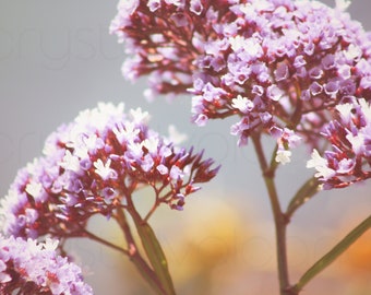 Violet Flowers Nature Photo | Lavender Flowers Print | Purple Nature Art Print | Nature Photography | Dreamy Botanical | Powder Room Art