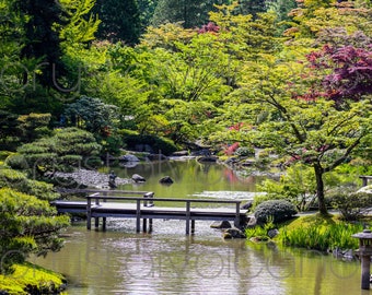 Japanese Zen Garden Photograph | Feng Shui Landscape Art Print | Peaceful Home Decor | Asian Scenic Wall Art | Japanese Wall Decor