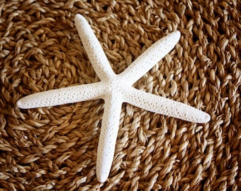 Starfish Photo Print | Sea Star Art Print | Beige and White Coastal Decor | Beach Photography | Large Starfish Wall Art | Coastal Home Art