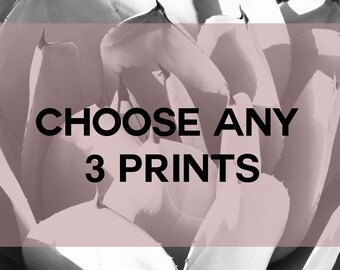 Fine Art Wall Set, Set of 3 Prints, 5X7, 8X10, 11X14, Choose Your Own Photography, Custom Wall Art, Gallery Wall Art, Photo Print Sets
