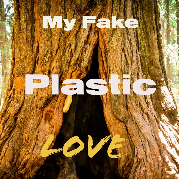 Fake Plastic Trees Poster Etsy