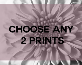 Wall Art Set, Set of 2 Prints,  Photo Wall Gallery, Custom Wall Prints, Photography Print Set, Pictures for the Home, 5X7, 8X10, 16X20