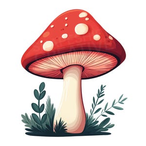 Champignons PNG, champignons champignon vénéneux Nature botanique forestiers butineuse Cottagecore fichier de coupe imprimable, clipart, téléchargement immédiat, usage Commercial