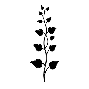 Silueta de planta trepadora (SVG) - Hiedra, enredadera, floral, frondosa, clip art, archivo de corte, descarga instantánea, uso comercial, SVG, PNG, JPG, EPS, PDF