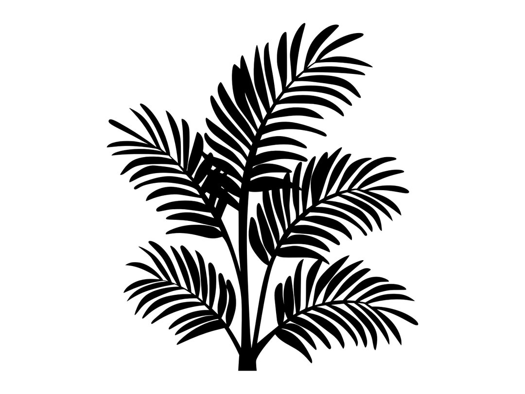 Palmbladeren SVG - palmbladeren tropische plant gebladerte silhouet Clip Art  gesneden bestand, Instant Download, commercieel gebruik, png jpg eps pdf -  Etsy België, image size:1080x810
