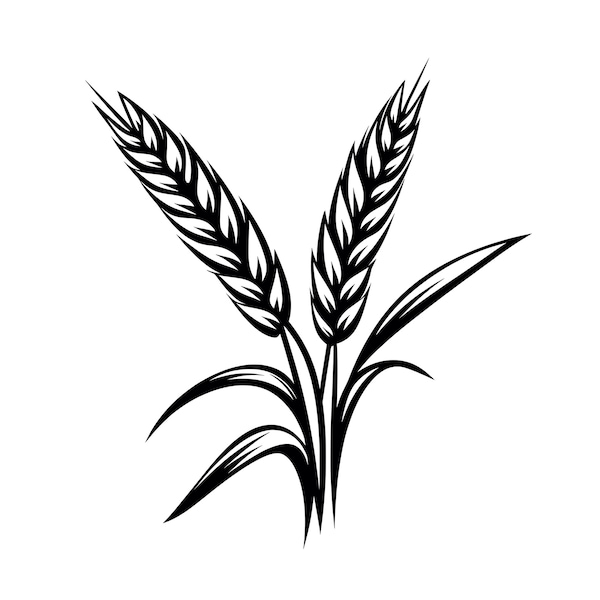 Wheat SVG - Wheat Grass Farm Crops Agriculture Field Silhouette Clipart Cut File, Instant Download, Commercial Use, svg jpg png eps pdf