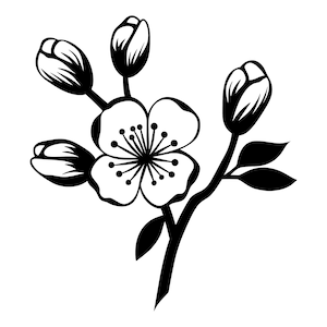 Kersenbloesem bloem SVG - bloemen Japanse boomtak afdrukbare Clip Art gesneden bestand, Instant Download, commercieel gebruik, svg png jpg eps pdf