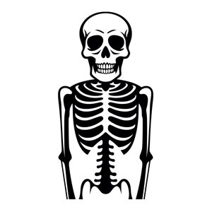 Skeleton SVG - Creepy Halloween Skeleton Spooky Skull Printable Clip Art Cut File, Instant Download, Commercial Use, svg png jpg eps pdf