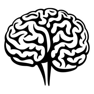 Puede incluir: Una ilustración en blanco y negro de un cerebro humano.