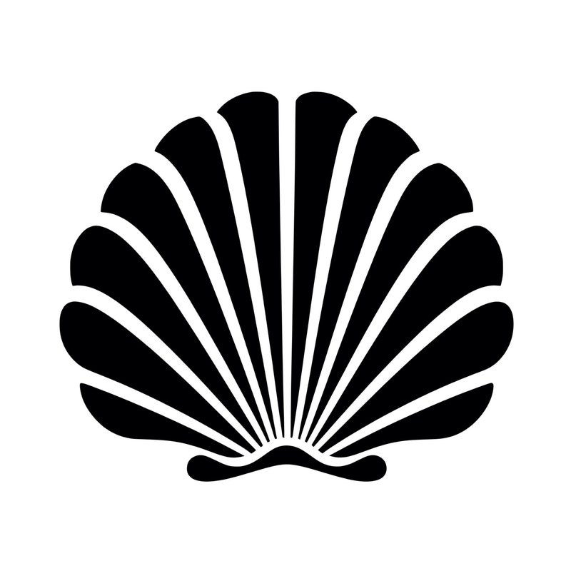 Shell Svg - Etsy