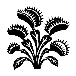 May include: A black and white graphic of a Venus flytrap plant. The image shows several open traps with spiky edges and leaves. The design is a stylized illustration of a carnivorous plant.