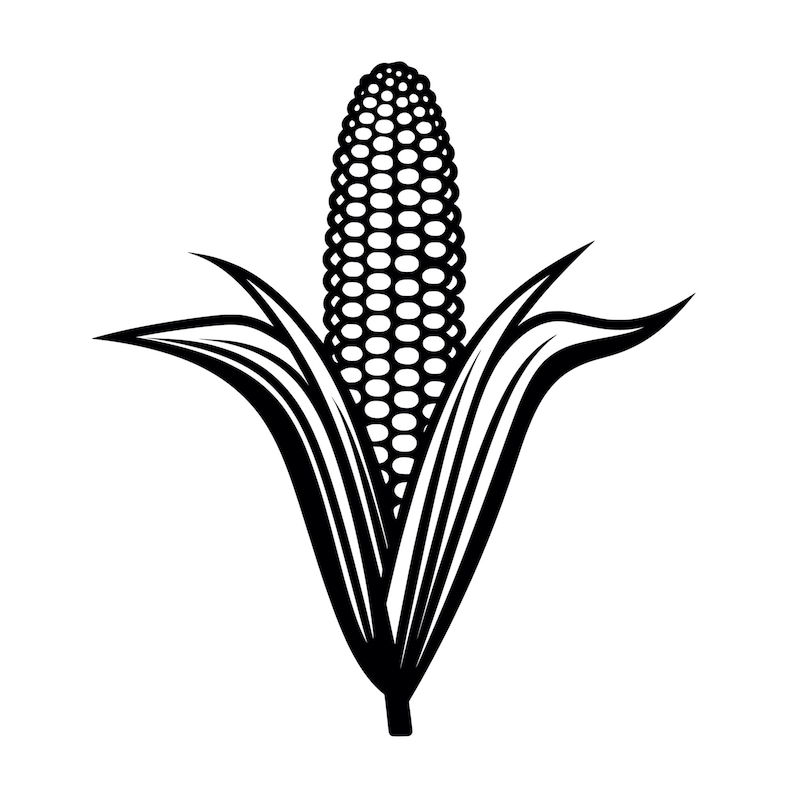 Corn Husk Paper Etsy Corn Husk Paper Etsy