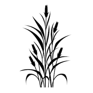 Corn Crops SVG - Corn Field Farming Fall Food Harvest Silhouette Clip Art Cut File, Instant Download, Commercial Use, svg png jpg eps pdf