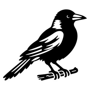 Pie SVG - pie australienne oiseau faune Silhouette animale Clip Art coupe fichier, téléchargement immédiat, usage commercial, svg png jpg eps pdf