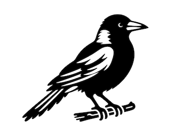 カササギ SVG - オーストラリアのカササギ鳥野生動物シルエット