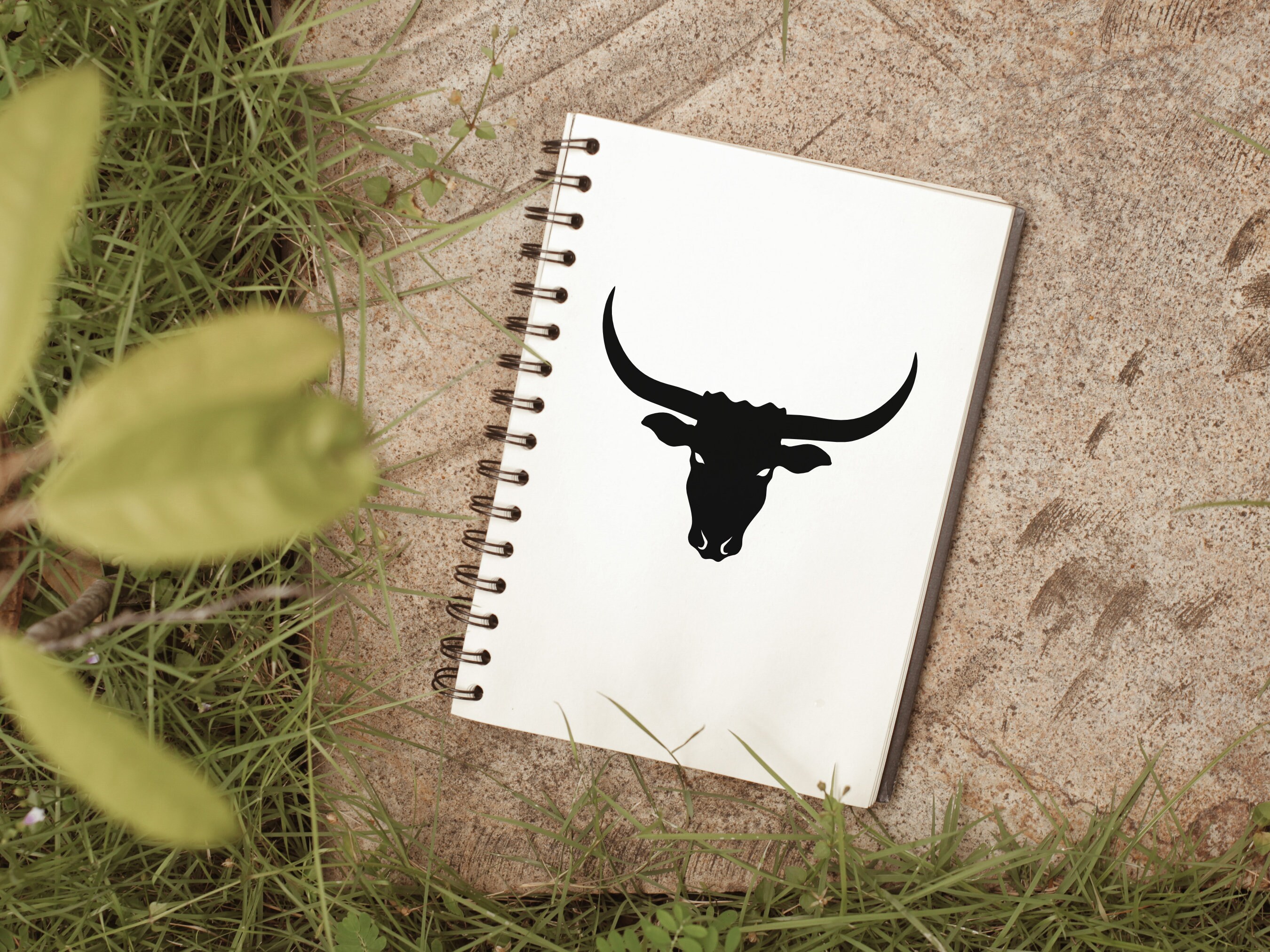 Texas Longhorn SVG Cattle Bull Animal Silhouette Clipart Cut - Etsy