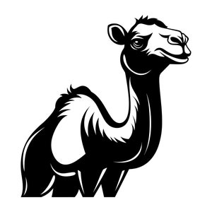 Cammello SVG - Deserto Animale Medio Oriente Arabia Fauna Selvatica Silhouette Clip Art File Tagliato, Download Istantaneo, Uso Commerciale, SVG PNG JPG EPS pdf