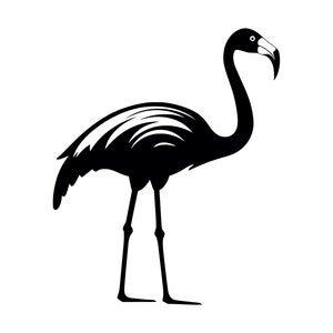 Flamingo SVG - Rosa Langer Hals Wasservogel Tropische Tiere Wildtiere druckbare Clip Art Schnitt Datei, sofortiger Download, kommerzielle Nutzung