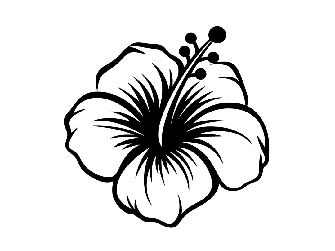 Hibiscus Flower SVG Tropical Flower Floral Plant Printable Clip Art Cut