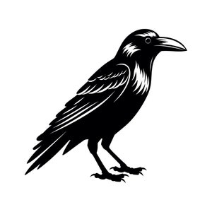 Corbeau SVG - Corbeau noir oiseau Halloween Animal Silhouette Clipart coupe fichier, téléchargement immédiat, tout usage commercial, svg jpg png eps pdf