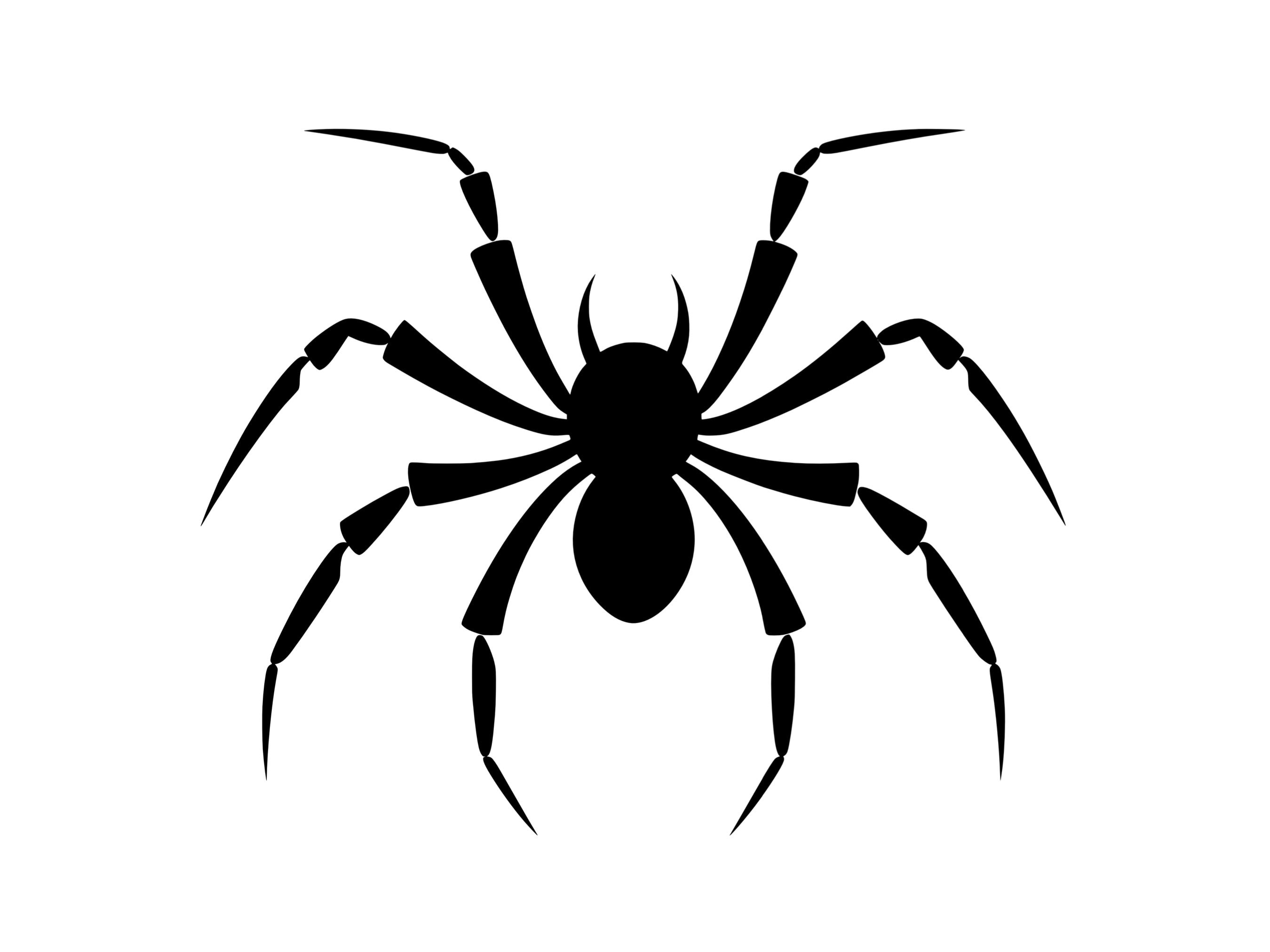 Spider SVG - Spider Silhouette Clipart Cut File, Instant Download