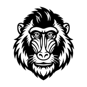 Könnte beinhalten: Eine kontrastreiche schwarz-weiße Grafikillustration eines Mandrill-Kopfes. Das Design zeichnet sich durch kräftige, dicke Linien aus, die die Gesichtszüge des Primaten definieren, einschließlich des Nasenrückens, der Augen und des Fells.