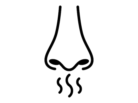 Nose Smell Scent Odor Aroma Breathing Human Nose Smelling Instant Download  Digital File Clip Art Vector Design Svg, Png, Jpg, Eps, Pdf - Etsy
