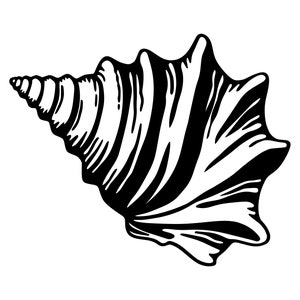 Muszla SVG - Muszla Konchowa Ocean Beach Sea Shore Wydrukuj Clip Art Wytnij plik, Natychmiastowe pobranie, Wykorzystanie komercyjne, svg png jpg eps pdf