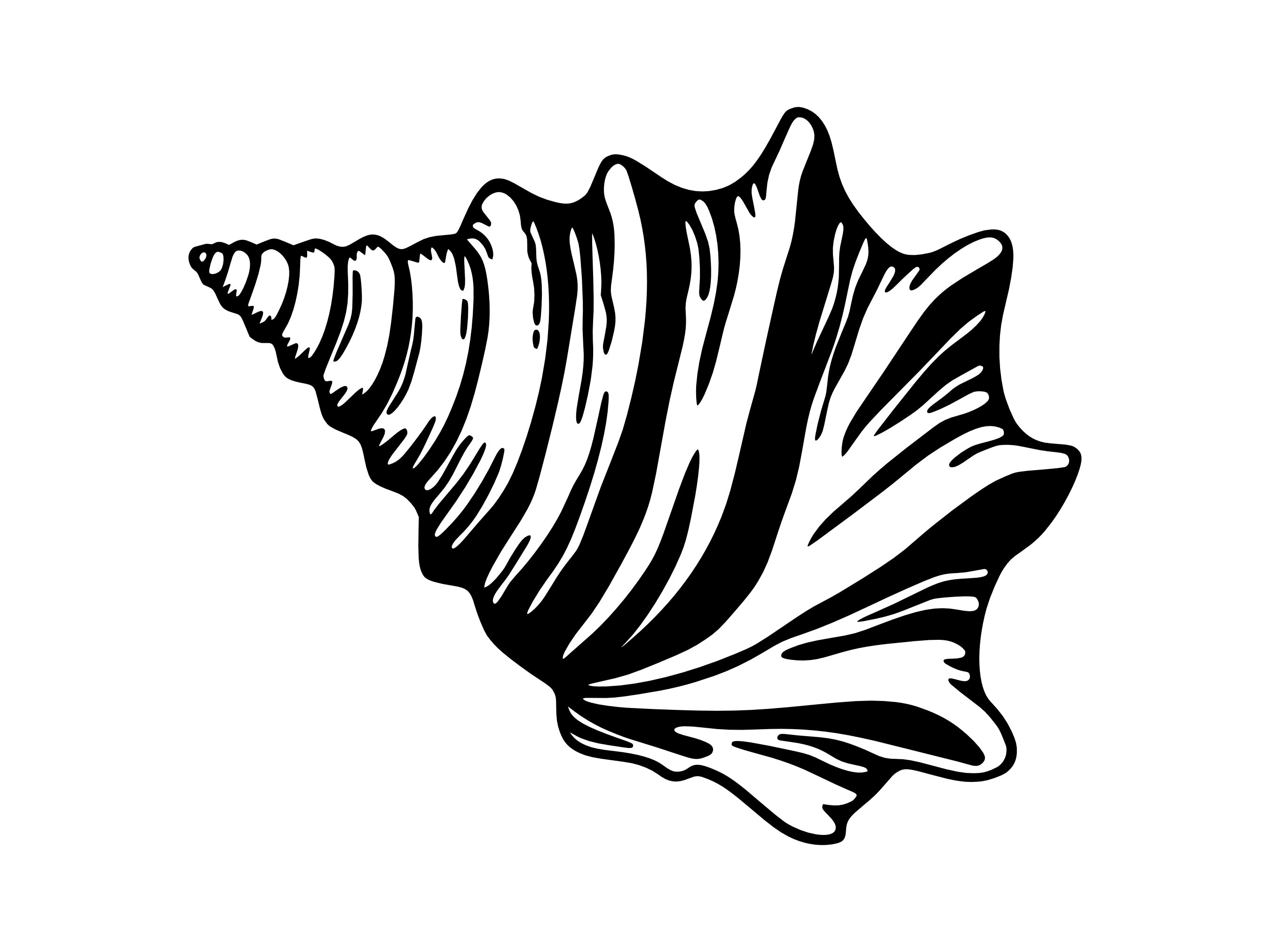 Seashell SVG - Conch Shell Ocean Beach Sea Shore Printable Clip Art Cut File, Instant Download, Commercial Use, svg png jpg eps pdf