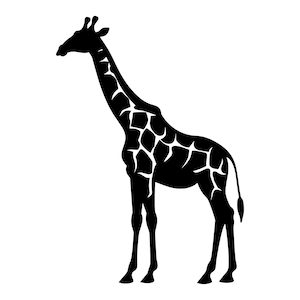 Giraffa SVG - Silhouette di giraffa, animale del safari africano, Clip Art, file di taglio, download immediato, uso commerciale, svg png jpg eps pdf