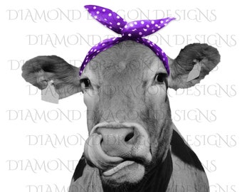 Heifer, Image, Cute Cow with Purple Polkadot Bandana, Cowlick, Cow Tongue Out, High Res, Digital Image Download, ClipArt, PNG, JPG,File