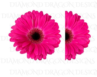 Gerbera Daisy Svg Etsy