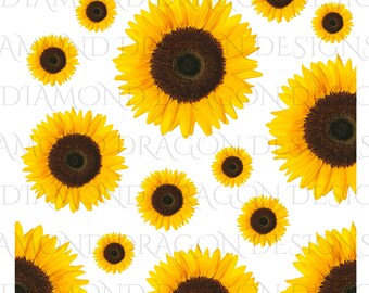 Download Realistic Sunflower Etsy