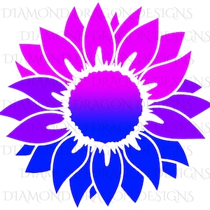 Girasole intero, girasole blu viola rosa, girasole Pride, Fiore di Bi Orgoglio, Download immagine digitale, Clip Art, PNG, JPG, File
