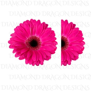 Whole Daisy, Half Daisy, Pink Gerbera Daisy, Pink Gerbera Flower, Waterslide, High Res, Digital Image Download, Clip Art, PNG, JPG, File