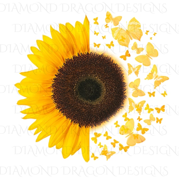 Download Half Sunflower Butterfly Sunflower Butterflies Yellow Etsy