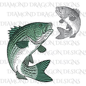 Striped Bass, Fishing, Father&#39;s Day, Bass Fish Image, Striped Sea Bass, Waterslide, Instant Digital Image Download,ClipArt, PNG, JPG file