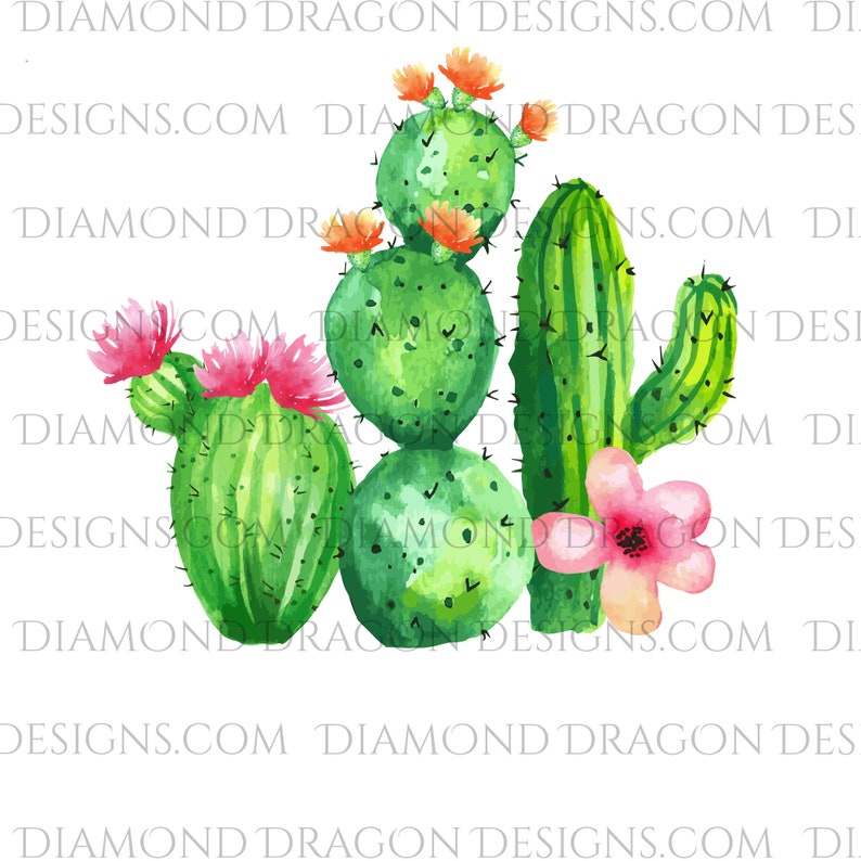 Download Cactus Watercolor Cactus Watercolor Flower Clear Waterslide For Tumblers Mugs Etc Laser Printed Tumbler Waterslide Decal Floral Cactus Clip Art Art Collectibles