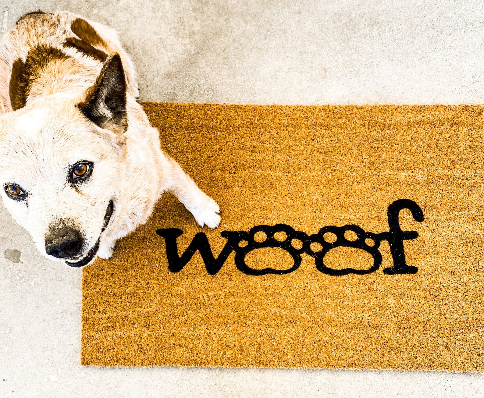 Dog Door Doormat Dog Doormat Mat Doormat Outdoor Etsy