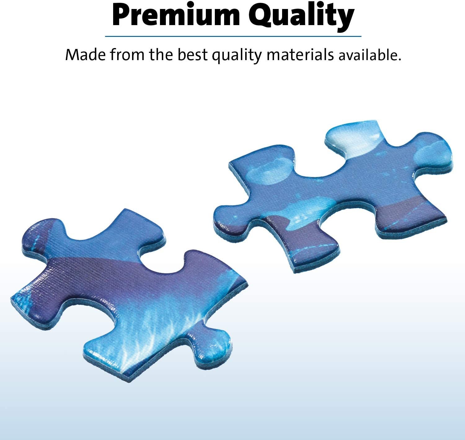 Ravensburger One Dot at a Time 1500 Piece Jigsaw Puzzle Etsy