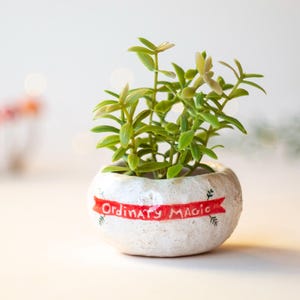 Ceramic planter, Succulent plant pot, Ceramic cactus pot, Succulent clay planter, Cache pot, Flower pot, Modern mini planter, Plant pot