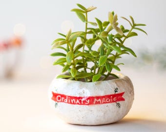 Ceramic planter, Succulent plant pot, Ceramic cactus pot, Succulent clay planter, Cache pot, Flower pot, Modern mini planter, Plant pot